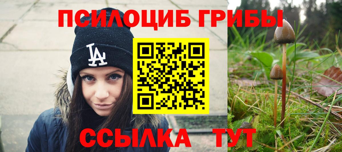 Псилоцибиновые грибы Psilocybe  Вход с VPN  Реж 